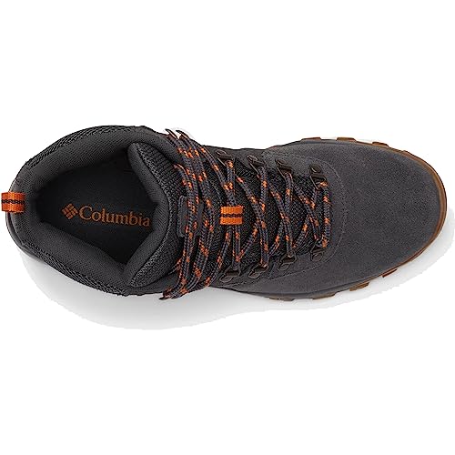 Columbia Men's Newton Ridge Plus Ii Suede Waterproof Hiking Boot