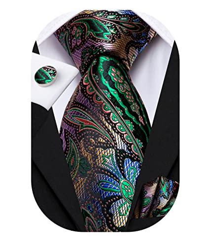 Hi-Tie Silk Paisley Ties for Men Necktie Pocket Square Cufflinks Set Foral Tie Sets Formal Business