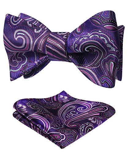 HISDERN Bow Ties for Men Paisley Bowties Mens Self Tie Bow Tie and Pocket Square Set Formal Tuxedo Wedding Bowtie