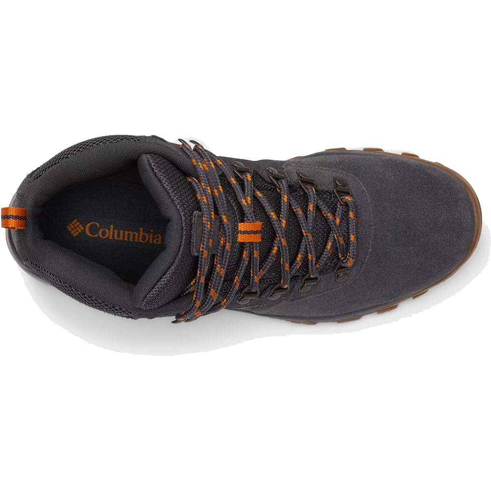 Columbia Men's Newton Ridge Plus Ii Suede Waterproof Hiking Boot