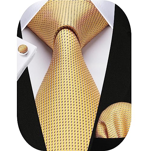 HISDERN Mens Ties Set Stripe Plaid Ties for Men and Pocket Square Cufflinks Formal Silk Necktie Wedding Business