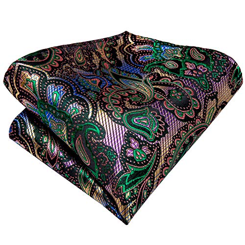 Hi-Tie Silk Paisley Ties for Men Necktie Pocket Square Cufflinks Set Foral Tie Sets Formal Business