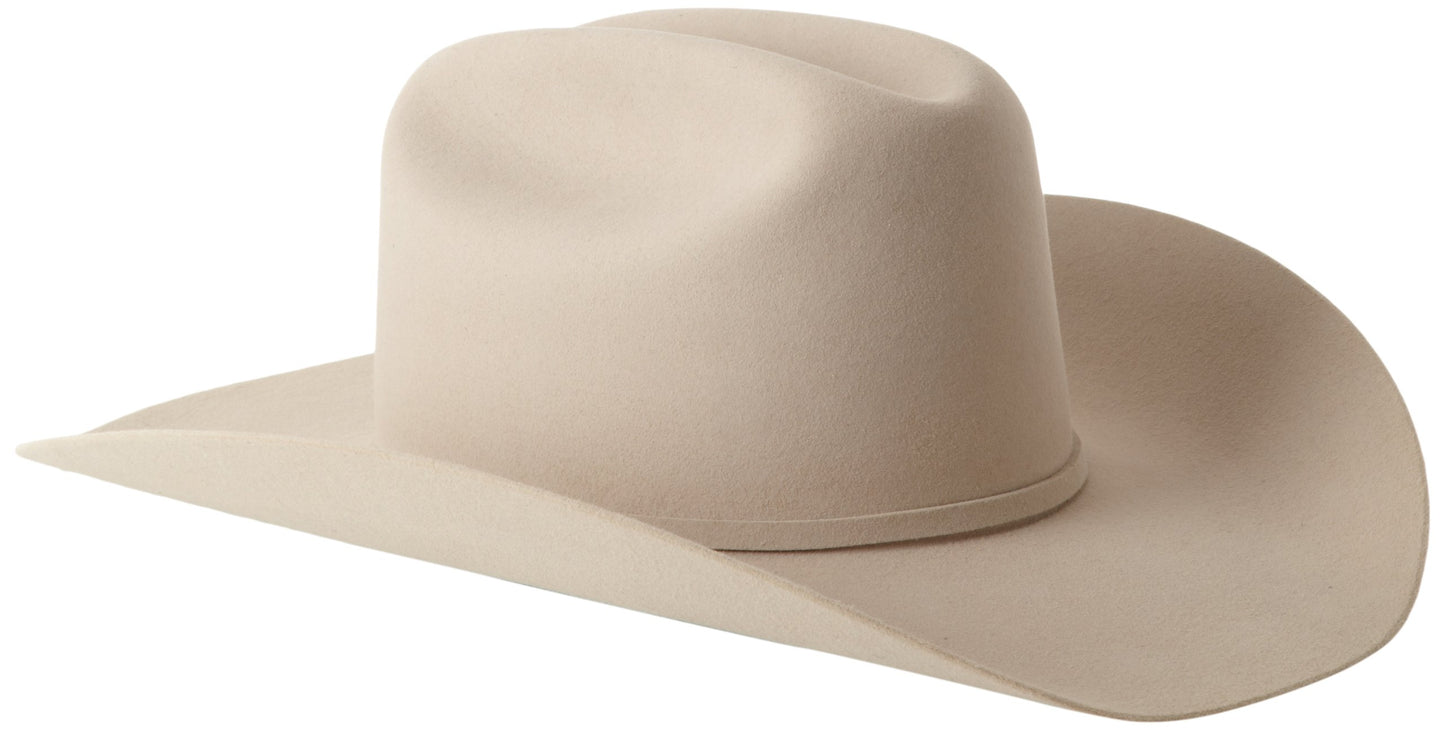 Stetson Men's Skyline Hat